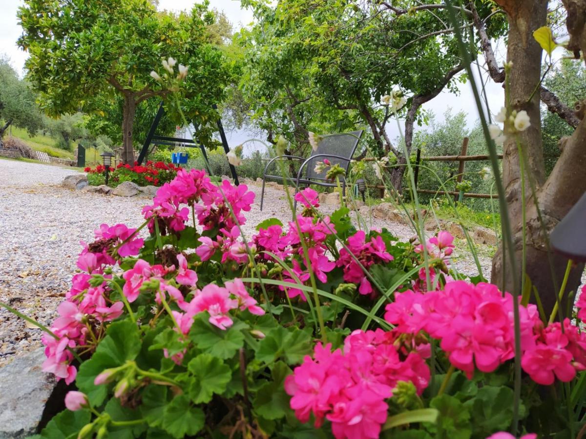 Casa Rural El Bonito Guest House Cazalla de la Sierra Eksteriør bilde